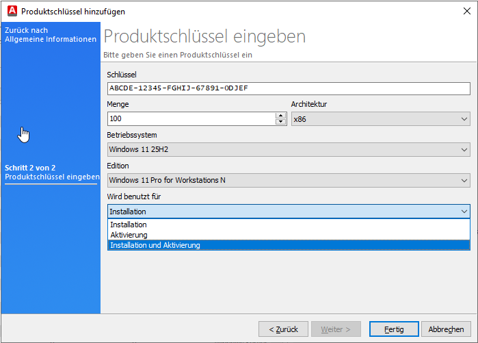 OSD_Produktschlüssel_Wizard Seite 2.png