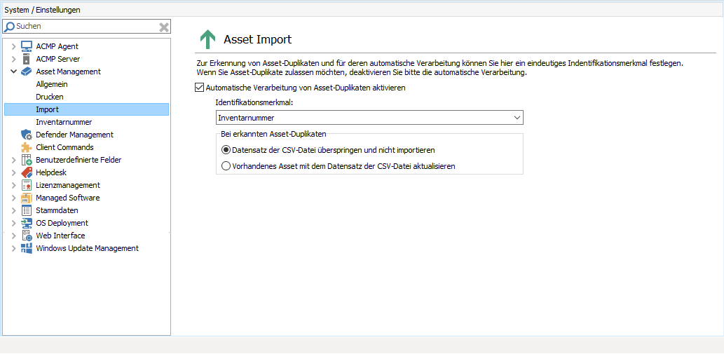 65_Asset Management_Einstellungen Import_1033.png