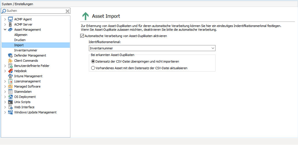 68_Asset Management_Einstellungen Import_1033.png