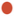 action-record_zoom50.png