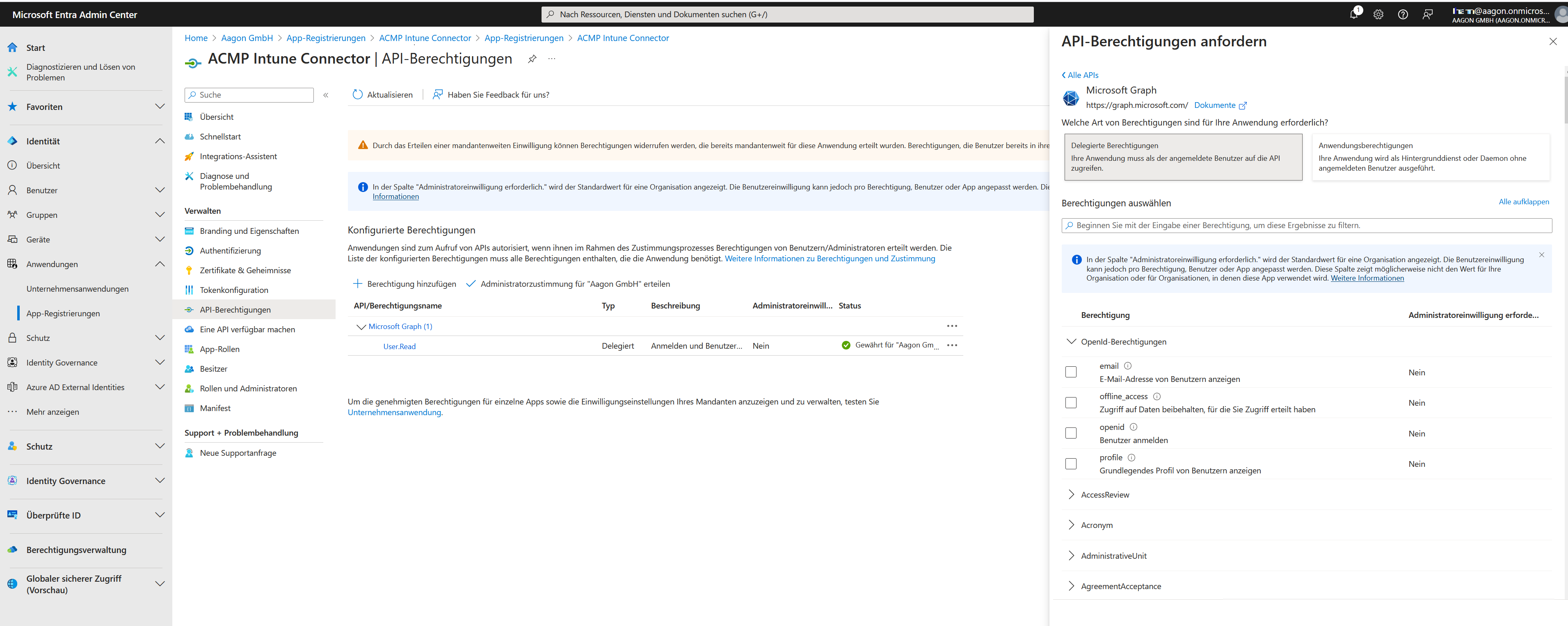 65_Intune_Delegierte Berechtigungen verteilen.png